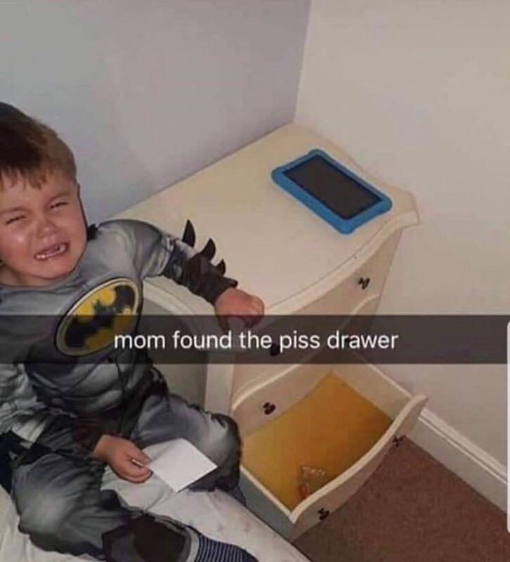 1732098493974.jpeg