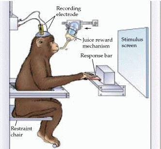 1732137416738.png