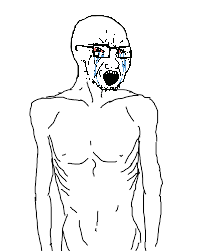 1732144825825.png