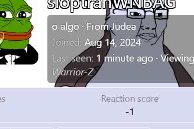 1732283606350.png