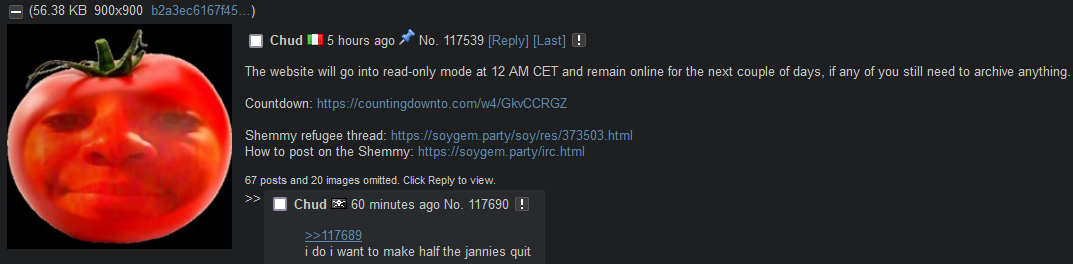 1732491658598.png
