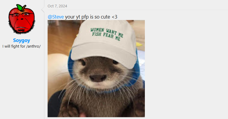 1732930129302.png