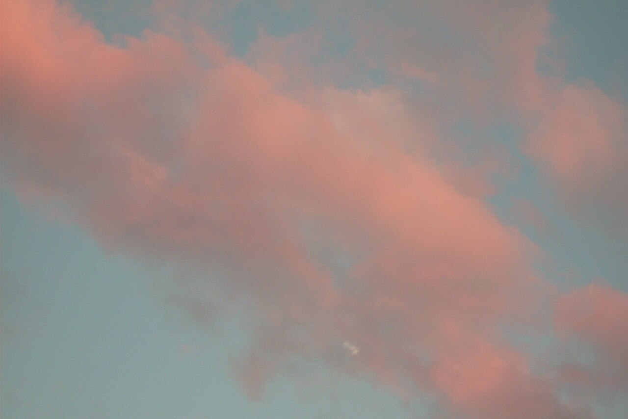 1732991547726.png