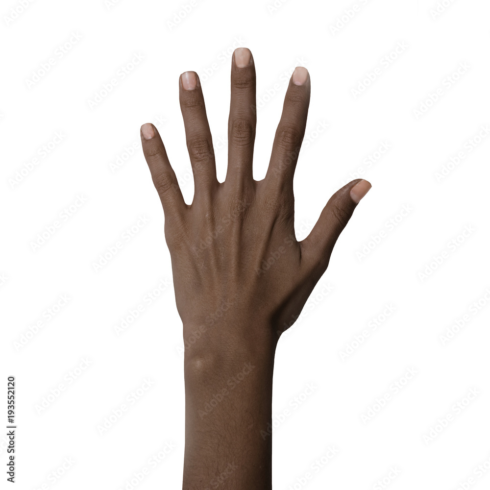 1733018454344.png