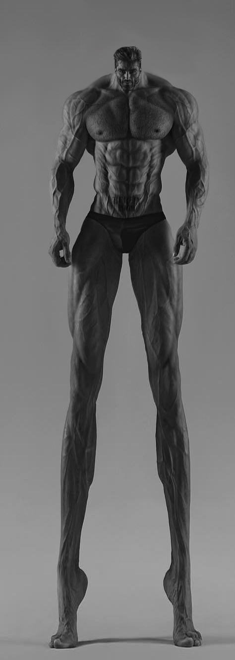 1733025048062.png