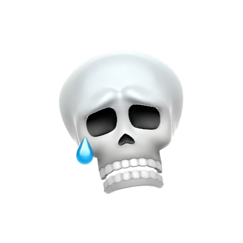 1733110060627.png