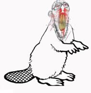 1733618598148.png