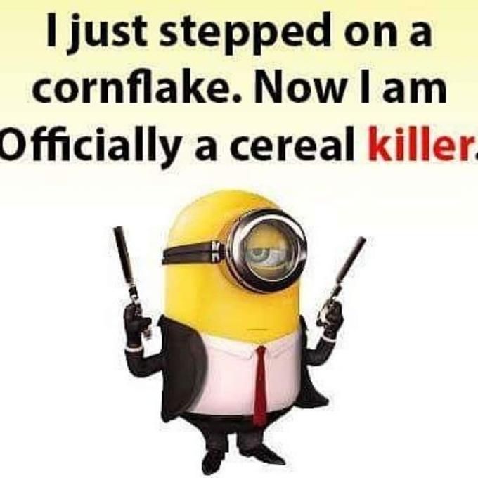 1733687481055.jpeg