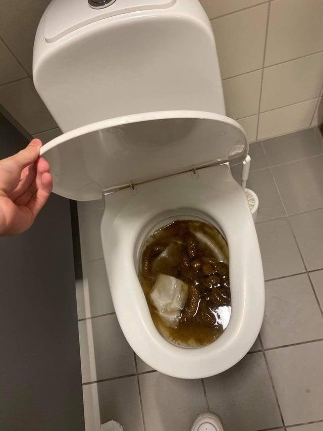 1733725284615.jpeg