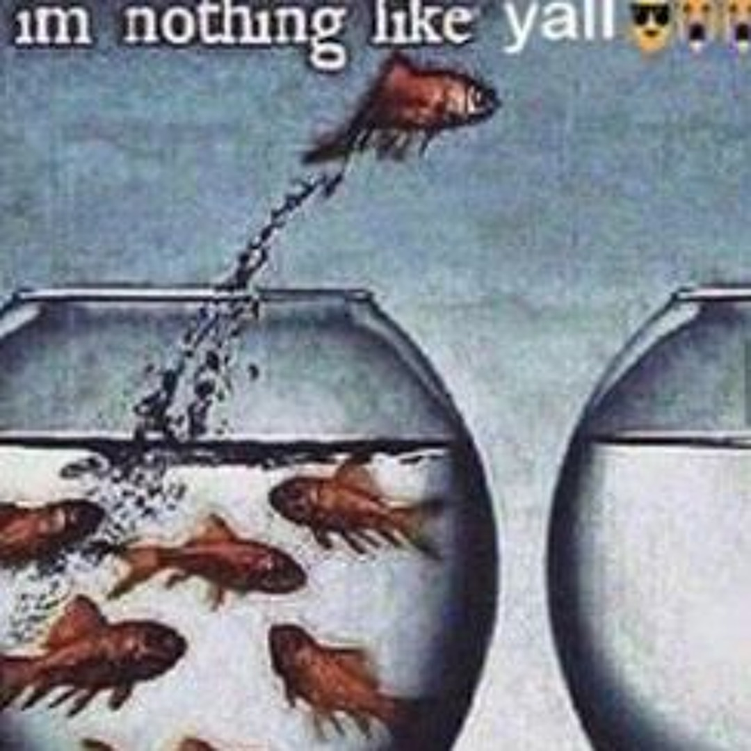 1734241290298.png