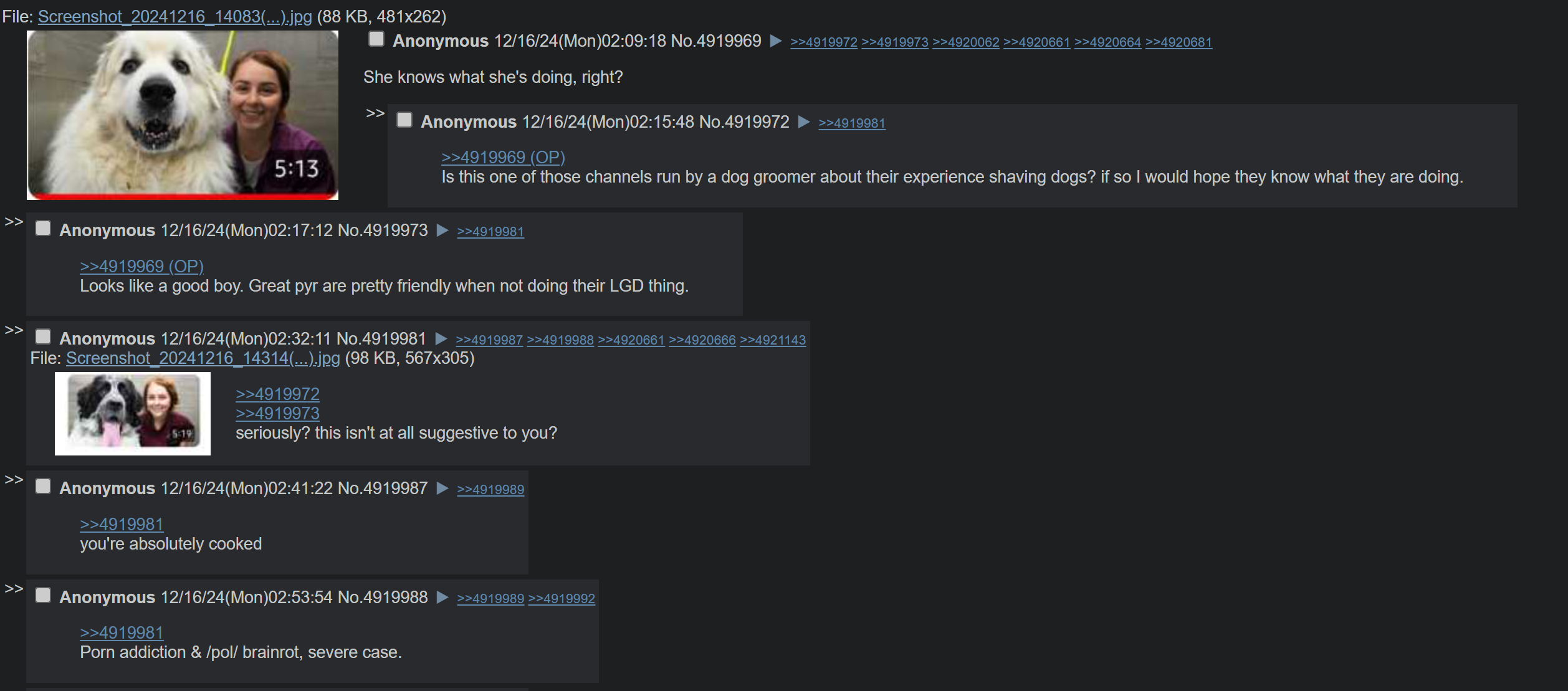 1734550372790.png