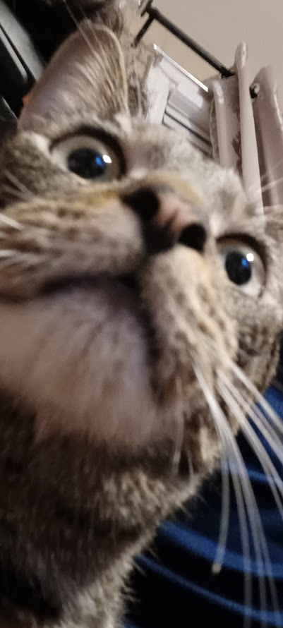 1734626451430.png