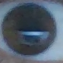 1734856168546.png