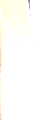1734856988195.png