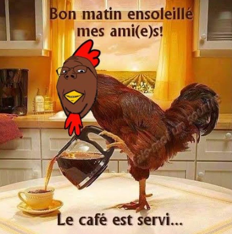 1735005831545.jpeg