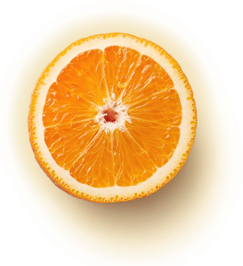 1735254422561.png