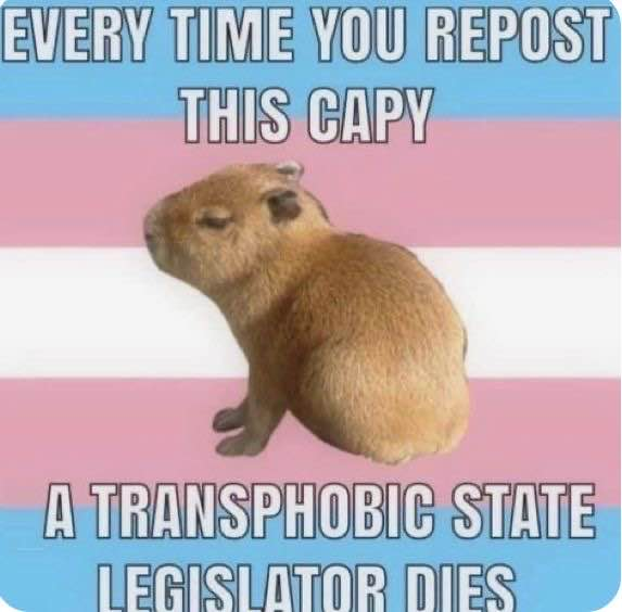 1735329821422.png
