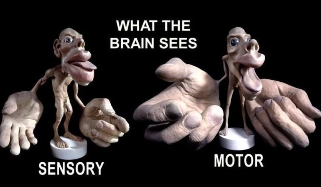1735530202795.png