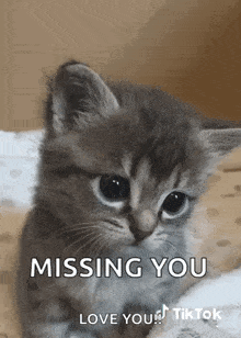 1735602946539.gif