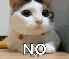 1735689995159.gif