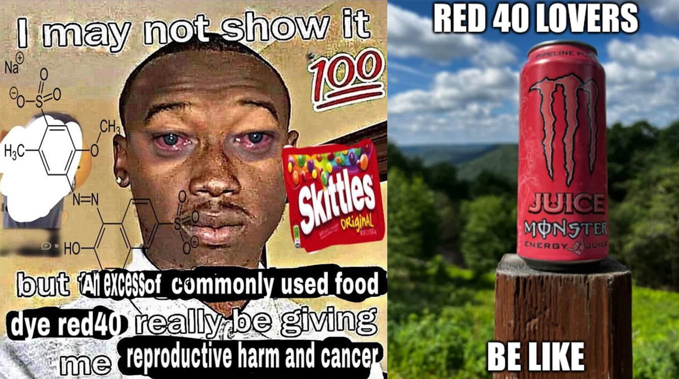 1735815713321.jpeg