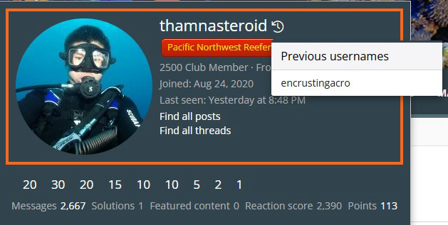 1735845515295.png