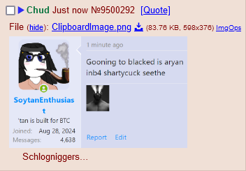 1736003748677.png