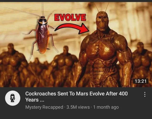 1736033487528.png