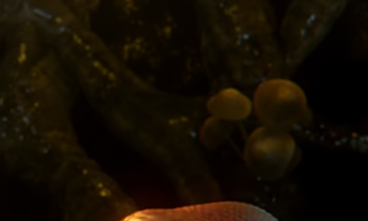 1736054502530.png