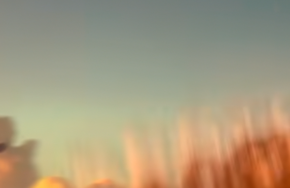 1736054829908.png