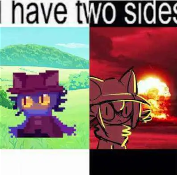 1736270556777.png