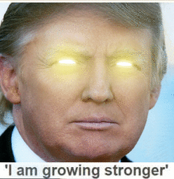 1736468643834.png