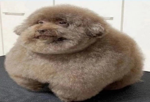 1736535768411.png