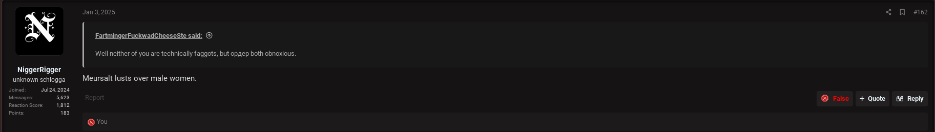 1736634727488.png