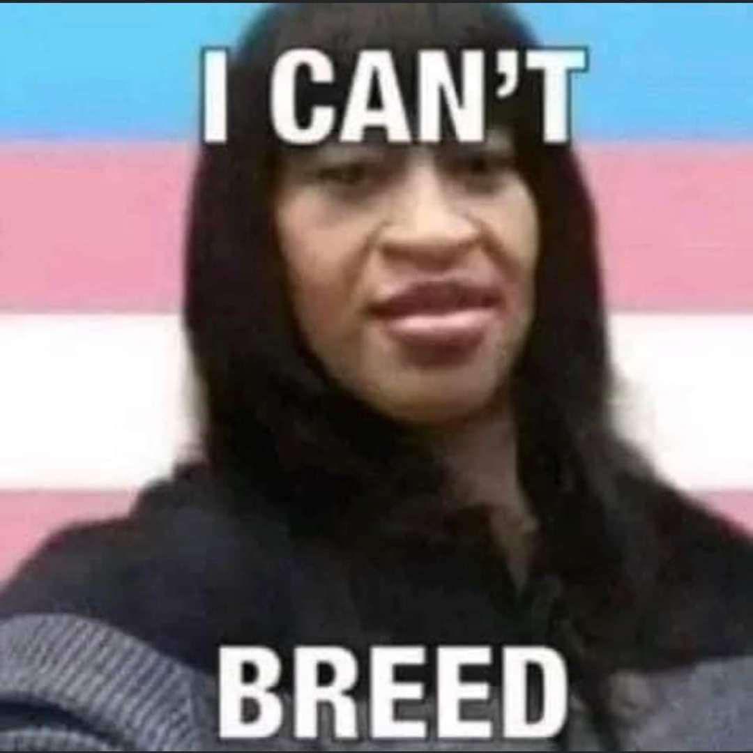 1736822499957.jpeg