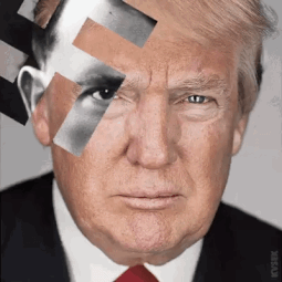 1737008558623o.gif