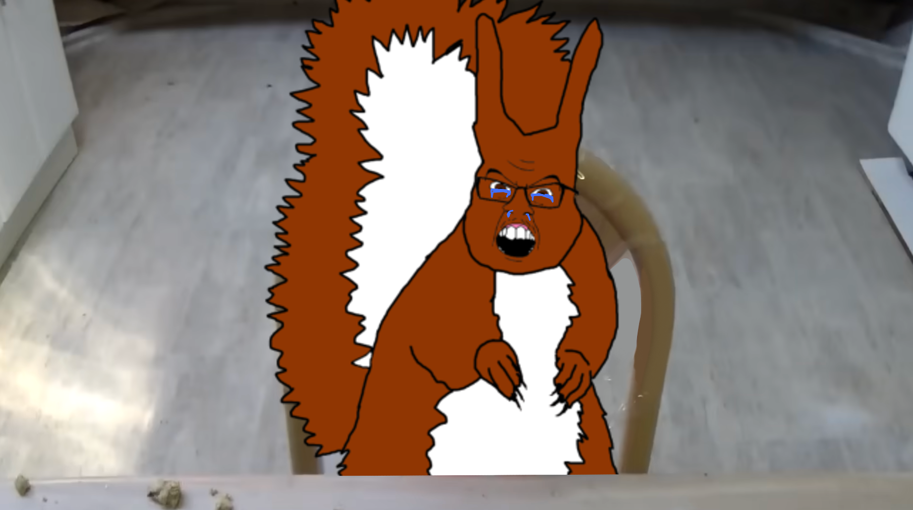 1737043819603.png