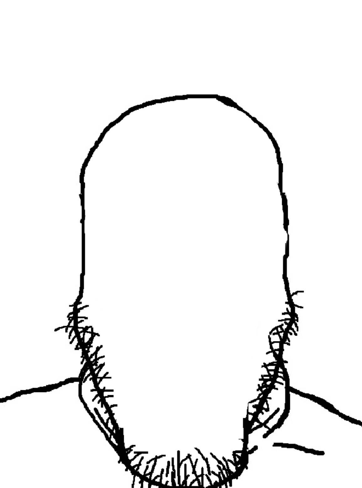 1737175343078.png