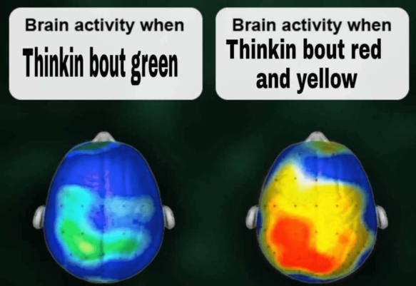 1737177757023.png
