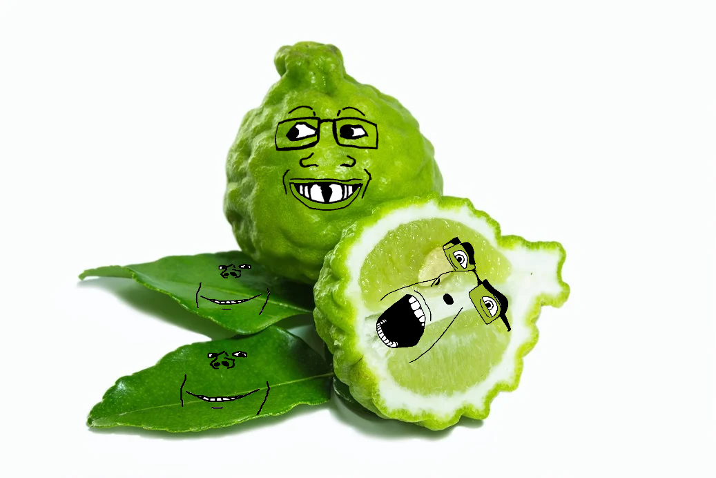1737205792223.png