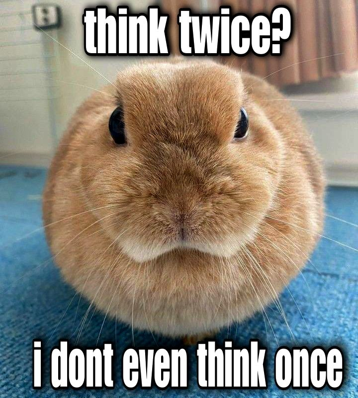 1737310348297.png