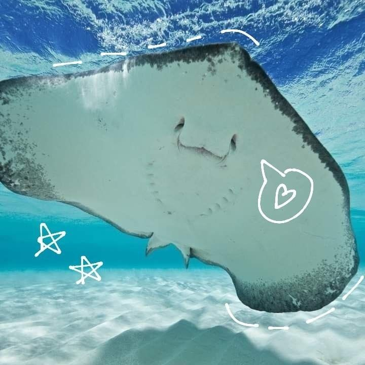 1737317136185.png