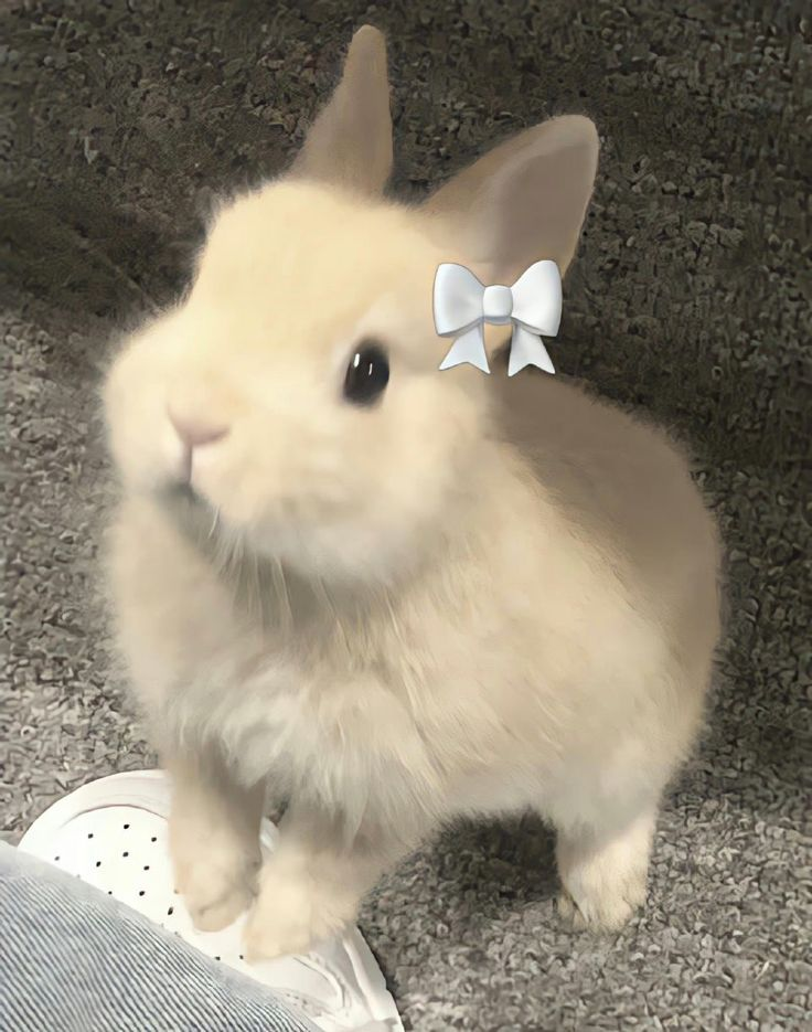 1737325914413.png