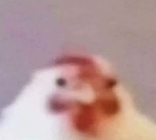 1737348597827.png