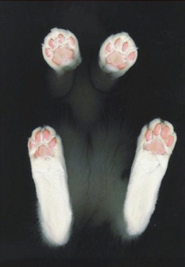 1737350073569.png