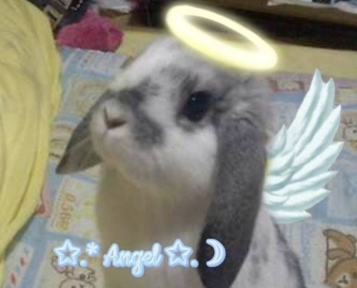 1737350351417.png