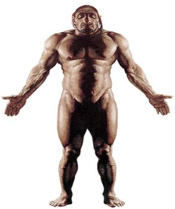 1737473153131.png