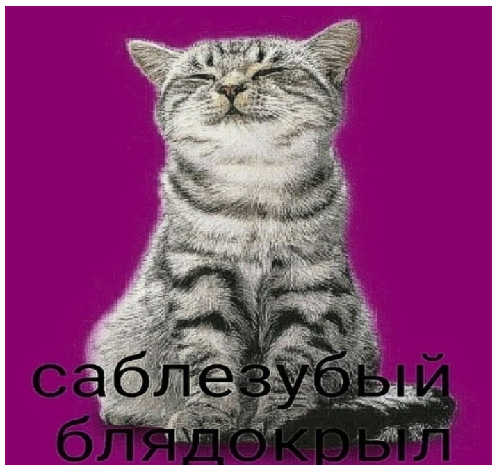1737504247279.png