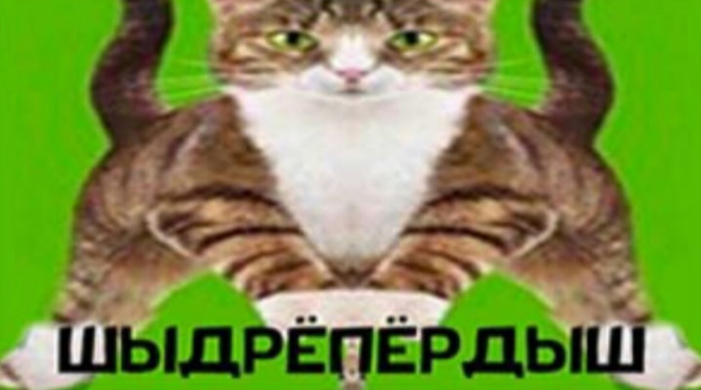 1737504303969.png