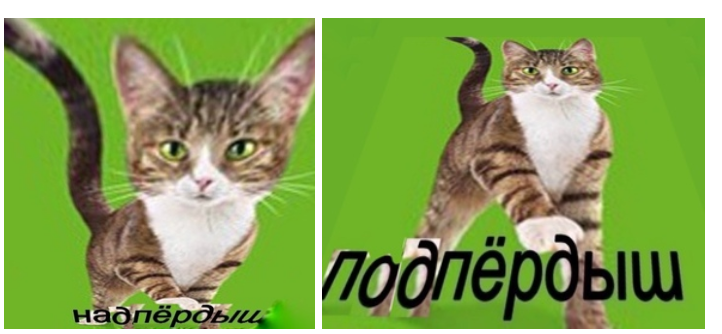 1737504631519.png